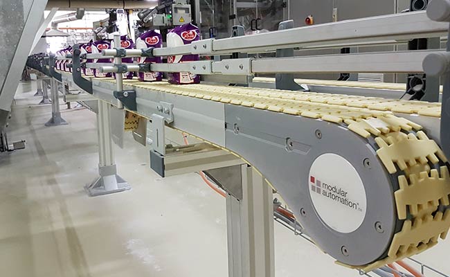 Link chain conveyor - Conveyor system with packaging machines and filling machines