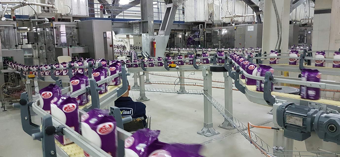 Plastic chain conveyor system in the food industry